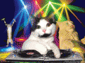 tumblr_ndityttjvJ1sytty3o1_400.gif